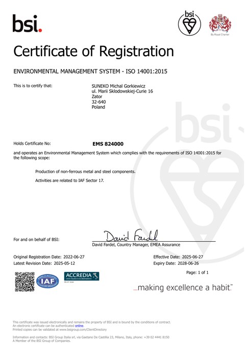 Zertifikat ISO 14001 — Vorschau des Zertifikats