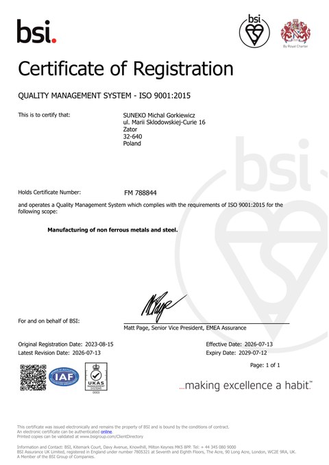Zertifikat ISO 9001 — Vorschau des Zertifikats
